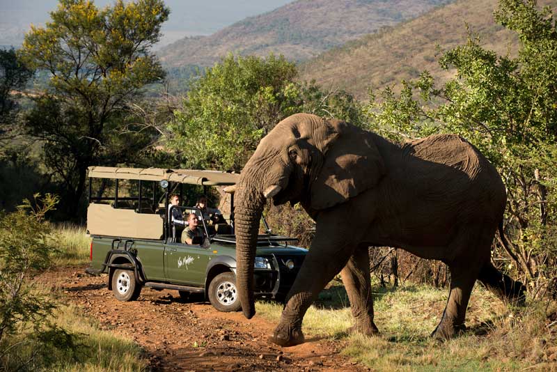 Pilanesberg National Park